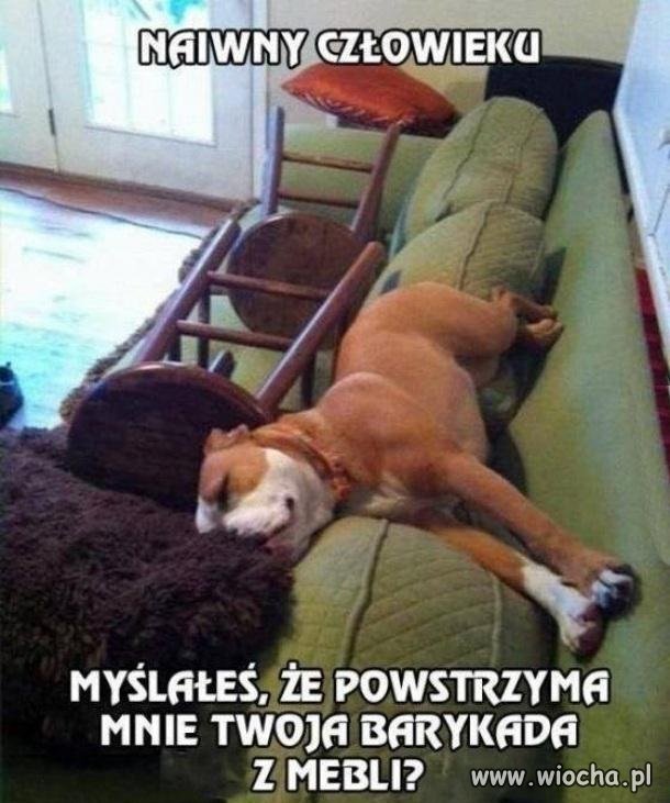 Naiwny człowieku