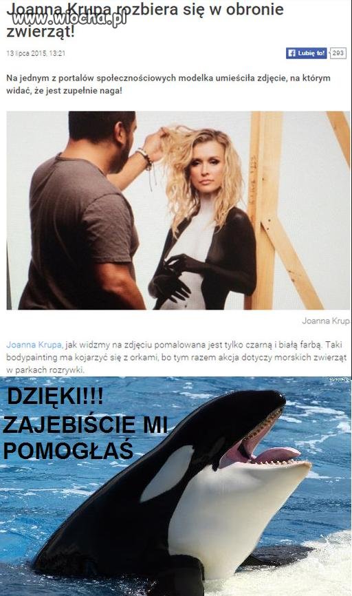Może się nie znam