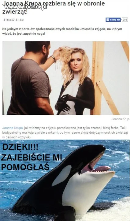 Może się nie znam