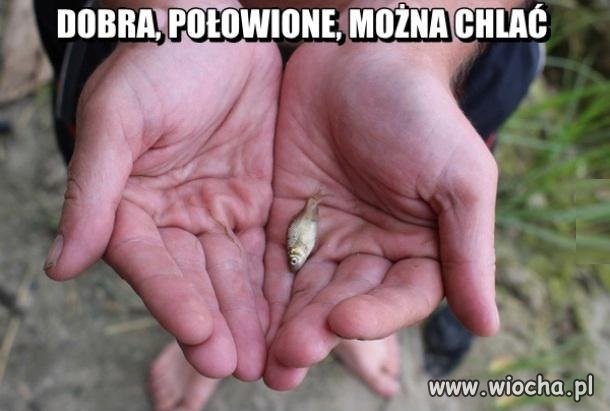 Połowione