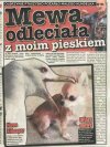 Olbrzymie ptaszysko pożarło kundelka.