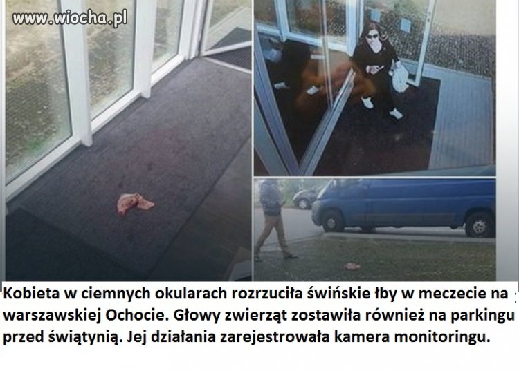 Brawo ! Brawo ! Brawo !