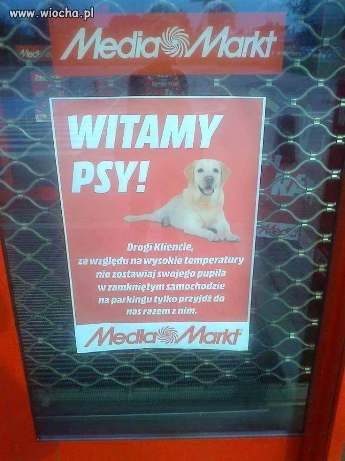 Taki mądry plakat