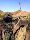 Kraje trzeciego świata zbroją ISIS