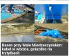 Elektryczne jacuzzi