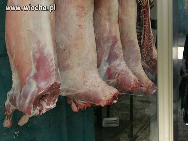 Dania zakazała produkcji mięsa koszernego i halal