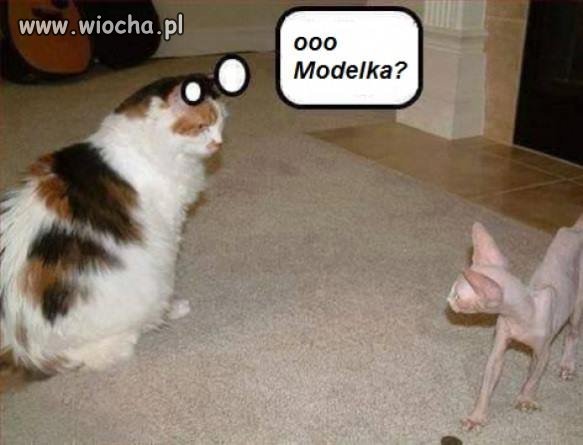 Tak wygląda