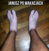 Janusz