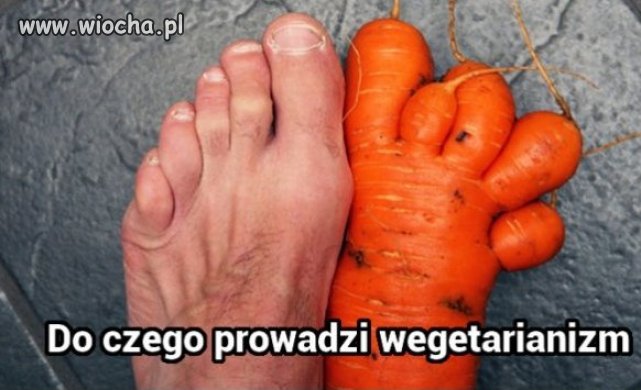 Wegetarianizm