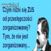 Nasze emerytury