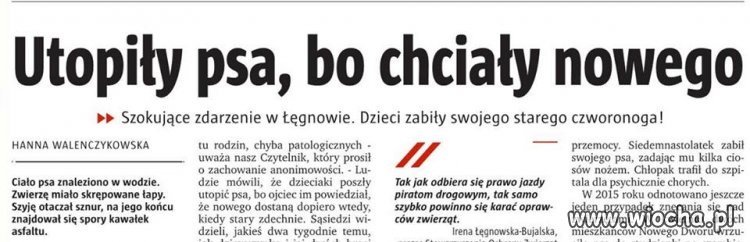 Dzieci to nasza przyszłość... 