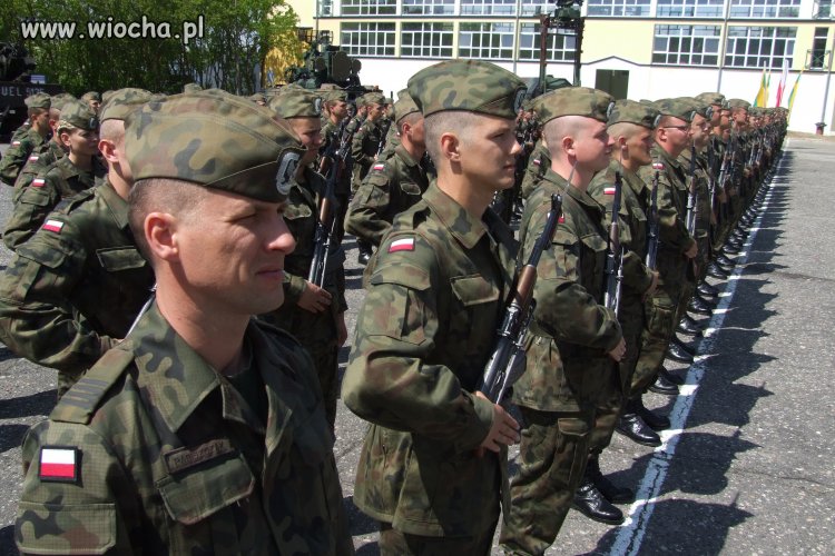 Polska armia ma charakter ekspedycyjny...