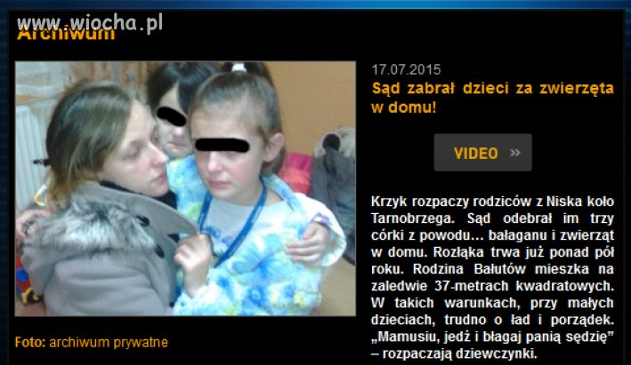 Bo był bałagan i zwierzęta
