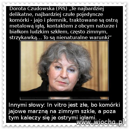 Czym mogą zaskoczyć