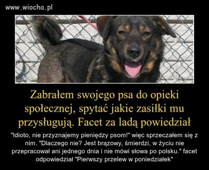 Samo życie.