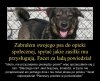 Samo życie.