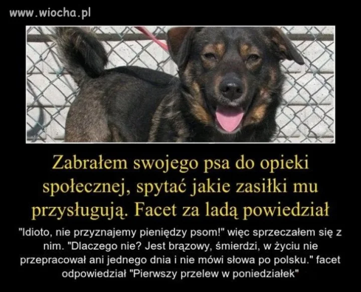 Samo życie.