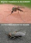 Muchy