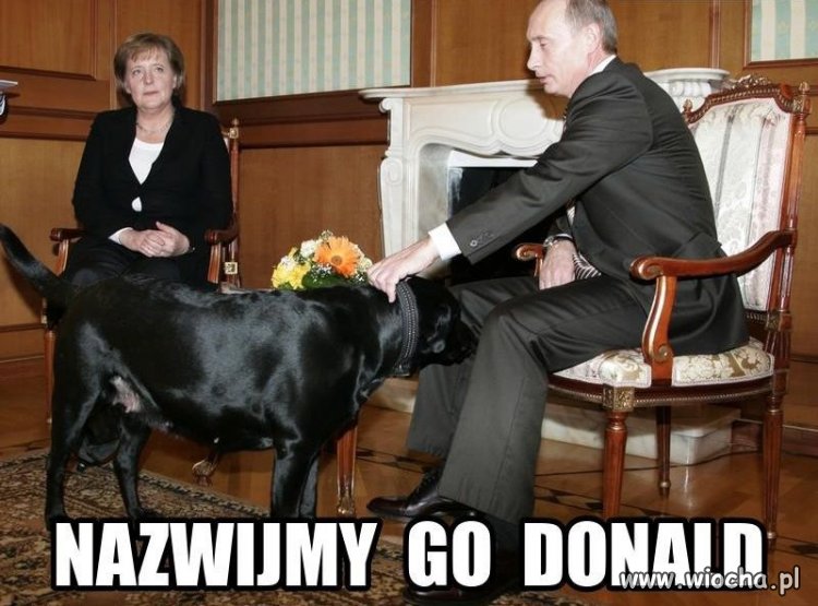 Niemiecka prasa napisała, że Polacy kochają Merkel