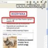 Tymczasem w Super Expresie
