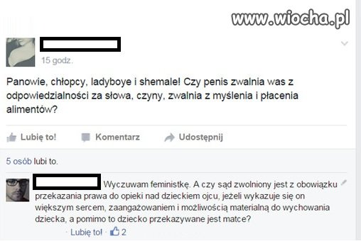 Feministki 