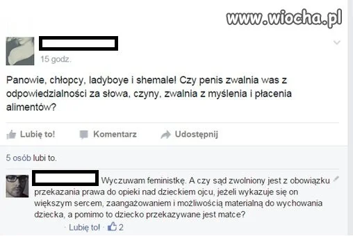 Feministki 