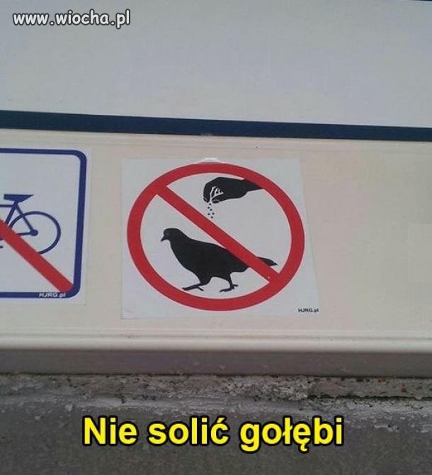 Nie sól gołębia