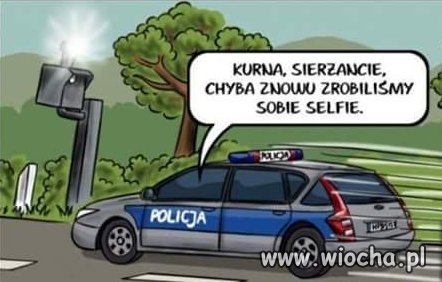 Cała prawda 
