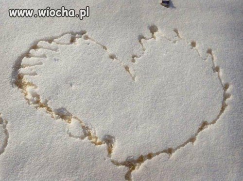Prawdziwy romantyk
