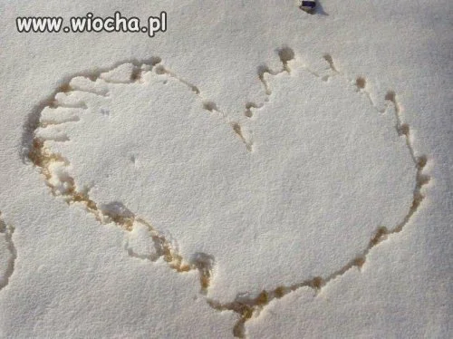 Prawdziwy romantyk