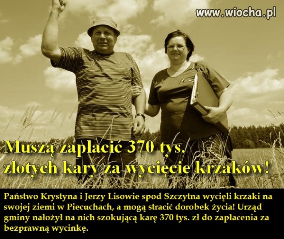Absurdy polskiego prawa 