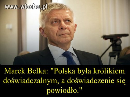 Chyba tylko WAM się powiodło