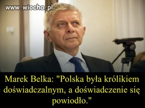 Chyba tylko WAM się powiodło