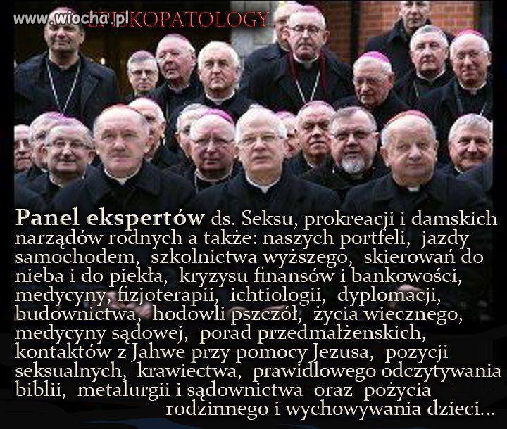 Experci od wszystkiego