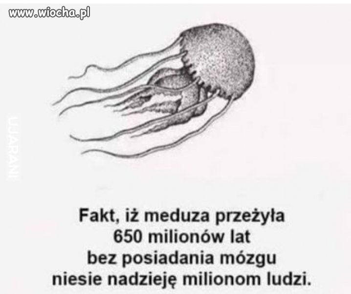 I na wiosce też są