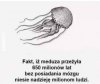 I na wiosce też są
