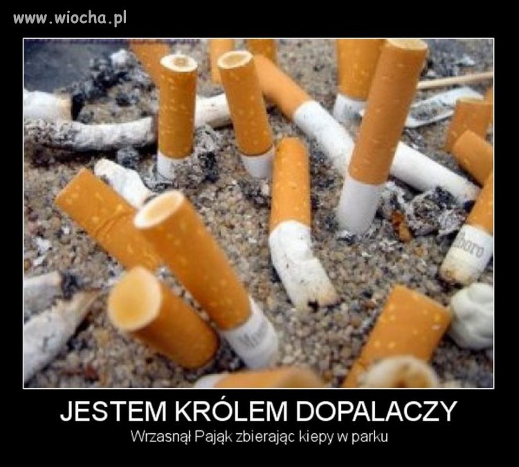 Września rok 2015 