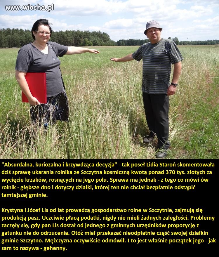 Polska kraj absurdów