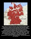 Niemcy w szoku! Rząd zakazał publikacji prawdy.