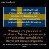 To jest dopiero chore Prawo