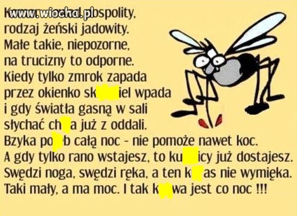 Taki komar.