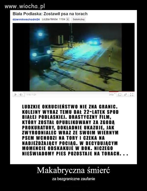 Brak mi słów - wstrząsnęło mną...