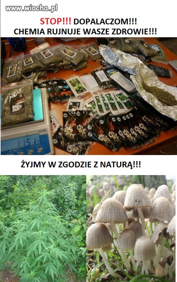 STOP! Dopalaczom...żyjmy zgodnie z naturą