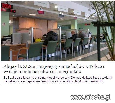 Złodziejstwo w biały dzień.