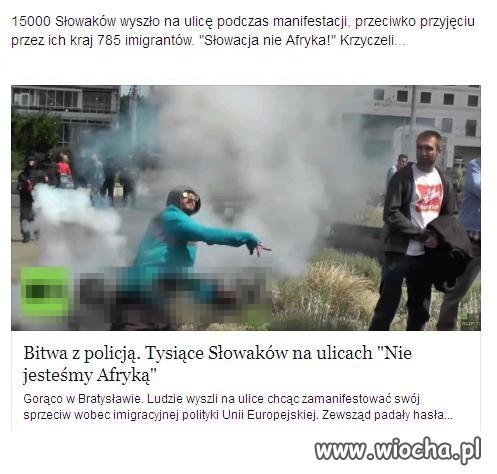 Słowacja to nie Afryka !!! Demonstracje