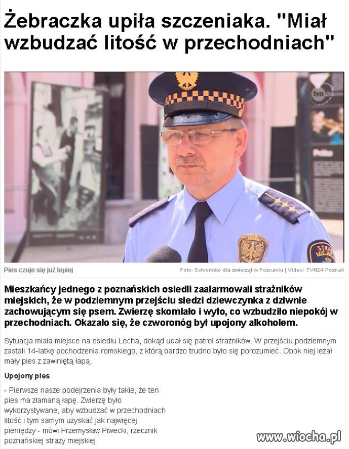 Cyganka i jej piesek 