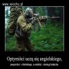 Wybieram opcję trzecią