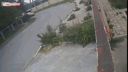 Czyste skur*ysyństwo