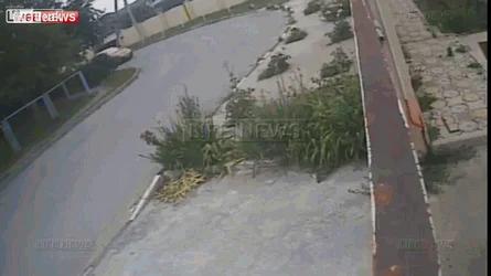 Czyste skur*ysyństwo