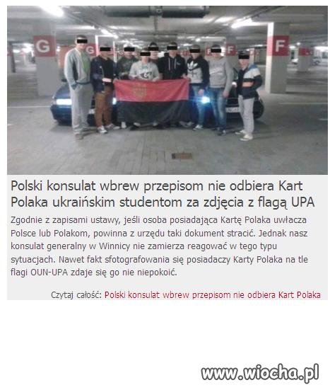 Wszyscy na około plują na Polaków.